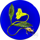 Paul Stankard 1984 Glass Art Paperweight Flamework Trout Lily Botanical on Blue