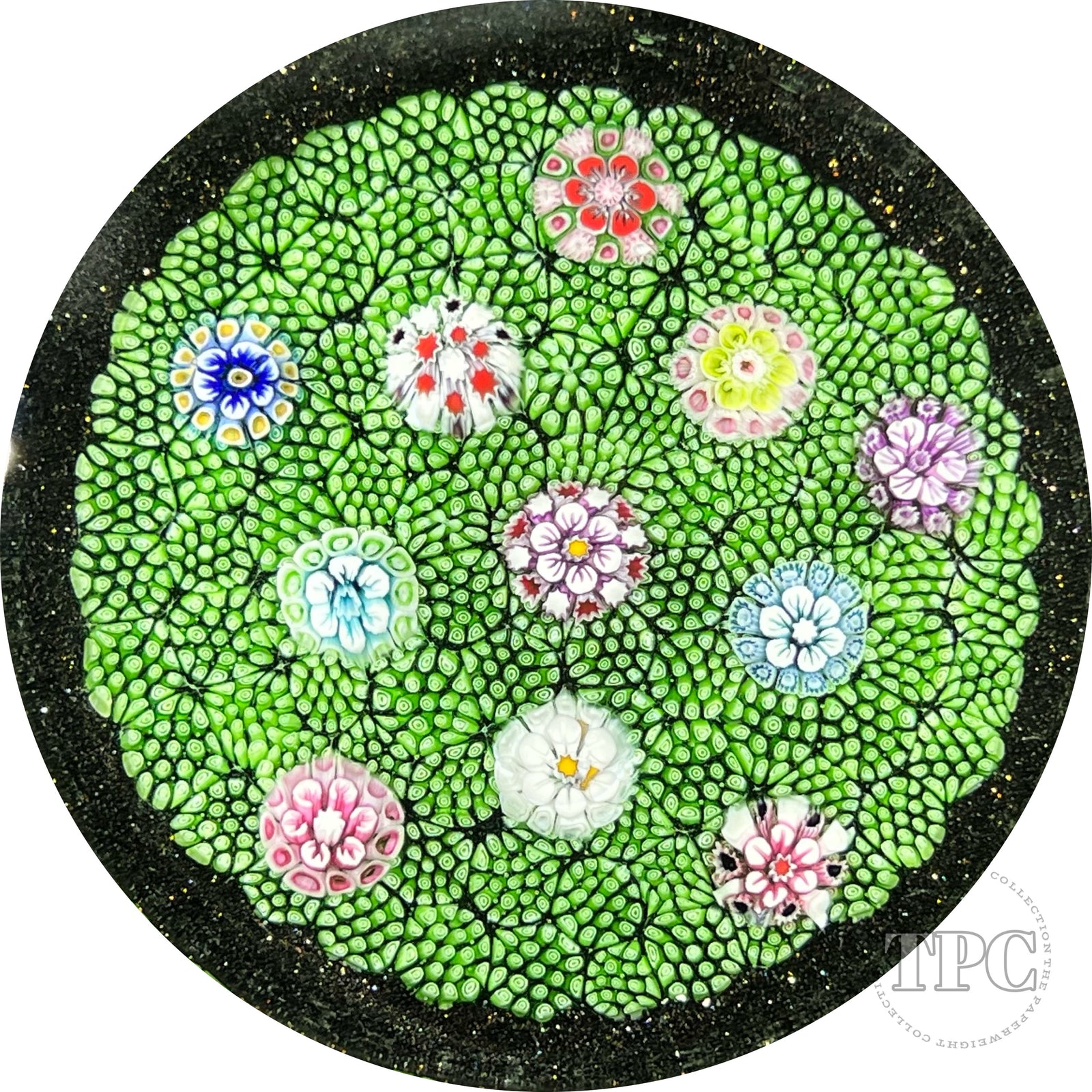 Tomasz Gondek 2022 Glass Art Paperweight Plaque Scattered Complex Millefiori on Green Coral Ground
