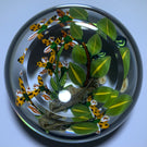 Colin Richardson Flamework Birdwing Butterfly and Tiger Orchid Glass Art Paperweight