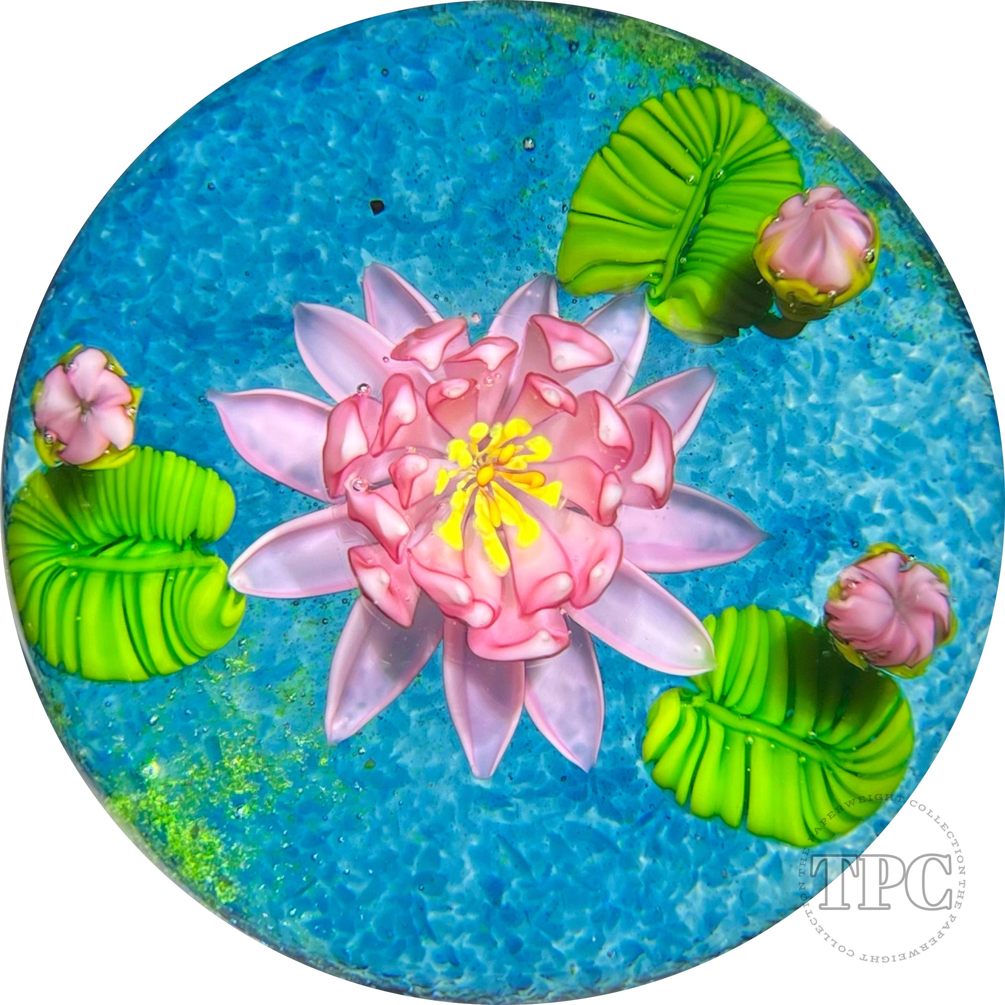 Ken Rosenfeld 2022 Glass Art Paperweight Flamework Pink Waterlilies