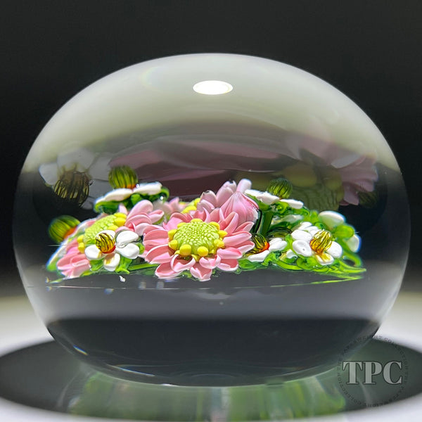 Ken Rosenfeld 2022 Glass Art Paperweight Flamework Pink Daisy Bouquet
