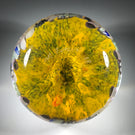 Matt Fimiano 2018 Art Glass Paperweight Closepack Complex Millefiori on Transparent Yellow Ground