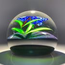Mayauel Ward 2019 Compound Torchwork Iris in Moonlight on Dichroic Ground