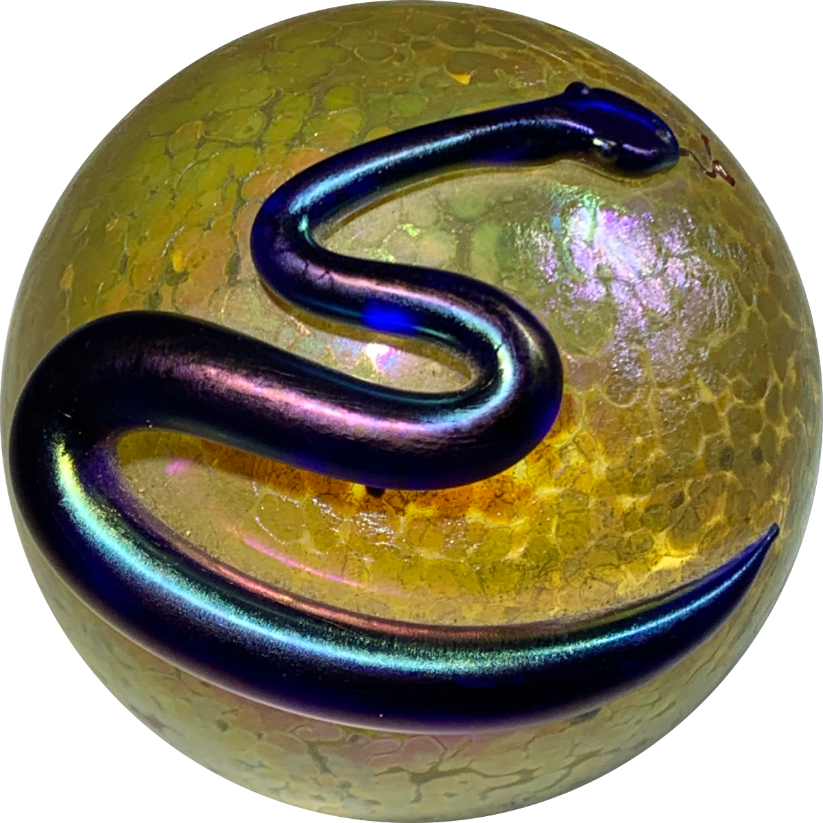 Steven Correia Iridescent Surface Decorated Snake Draped Over Gold Orb