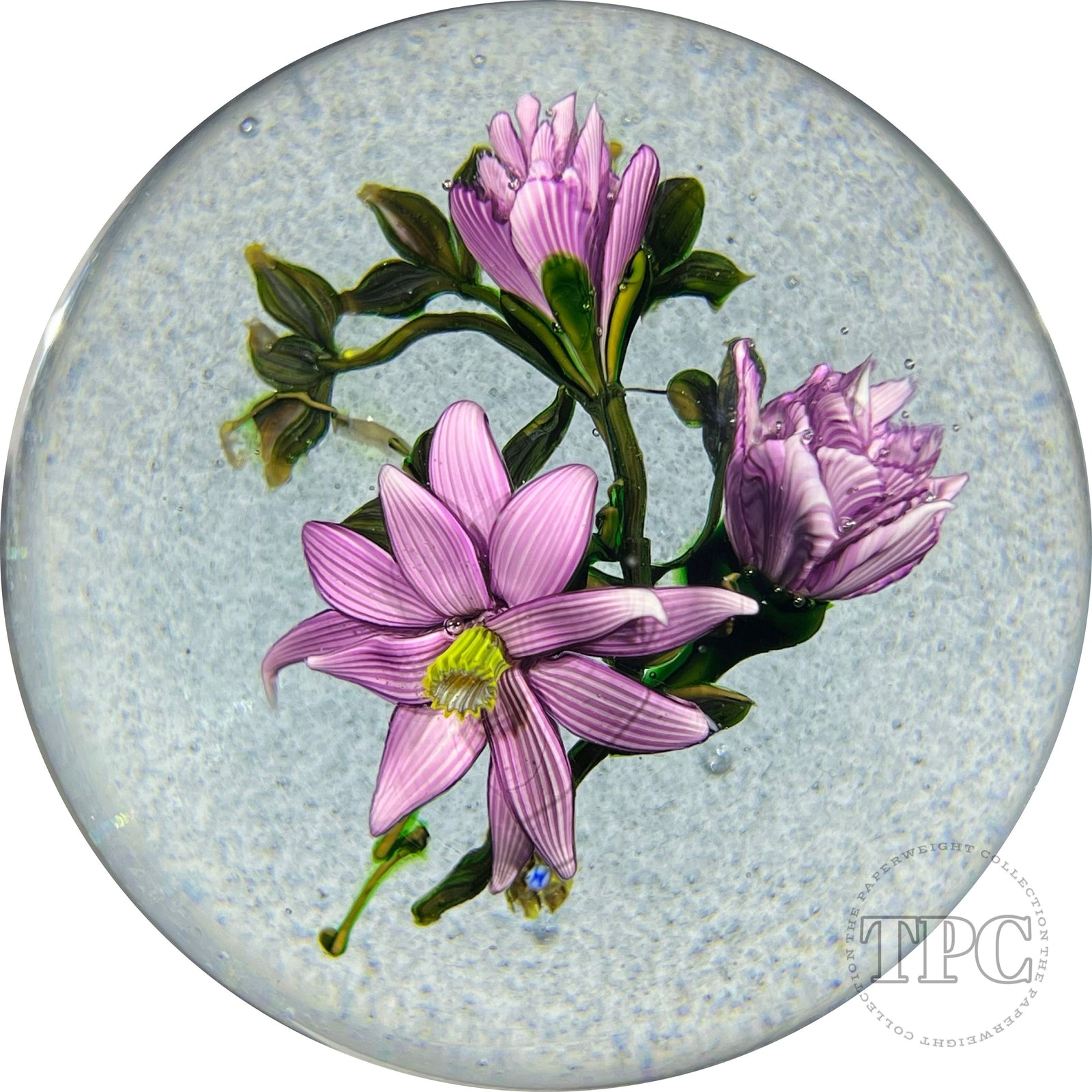 Eric Hansen 2015 Flamework Purple Clematis Blossoms on Frothy Baby Blue Ground