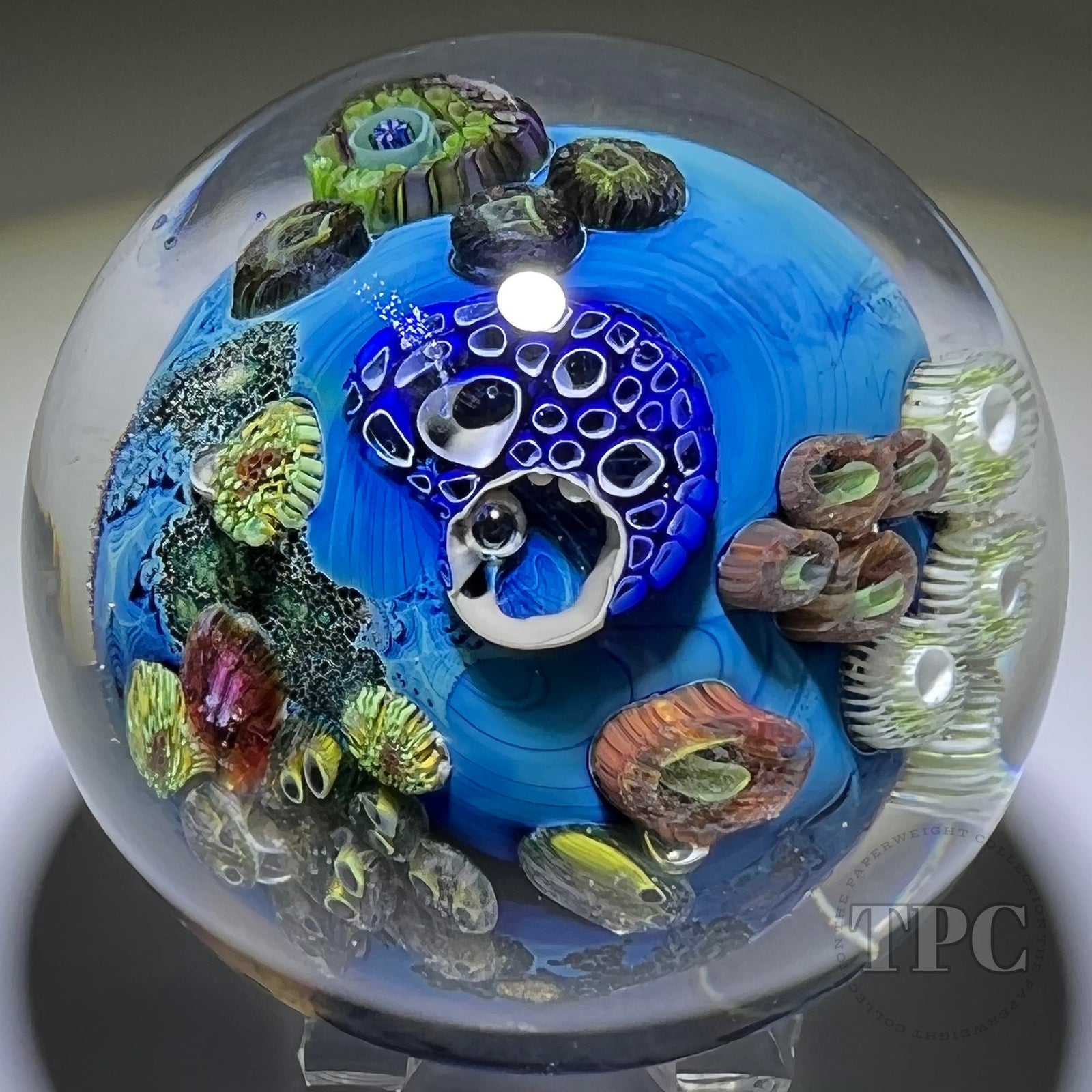 Josh Simpson 2017 Glass Art Paperweight "Inhabited Planet" with Complex Murrine & Dichroic Contrail