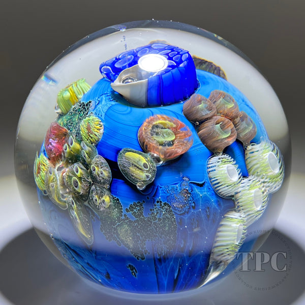 Josh Simpson 2017 Glass Art Paperweight 