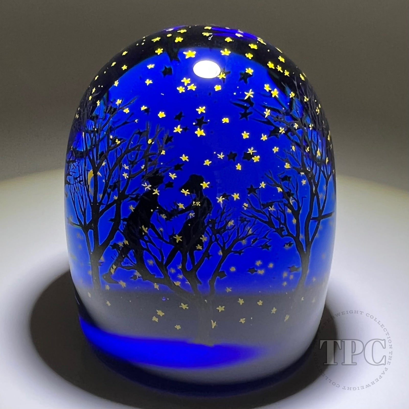 Alison Ruzsa 2022 Glass Art Sculpture Passing Through the Wood on a Starry Night Hand-Painted Enamels