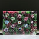 Tomasz Gondek 2022 Glass Art Paperweight Complex Spaced Millefiori on Pink & Green Moss Ground Rectangular Plaque