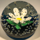 Rare Vintage Murano Ferro Lazzarini Art Glass Paperweight Lampwork Flower in the Rain