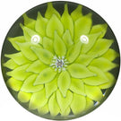 Saint-Louis 1969 Art Glass Paperweight Lampwork Chartreuse Dahlia