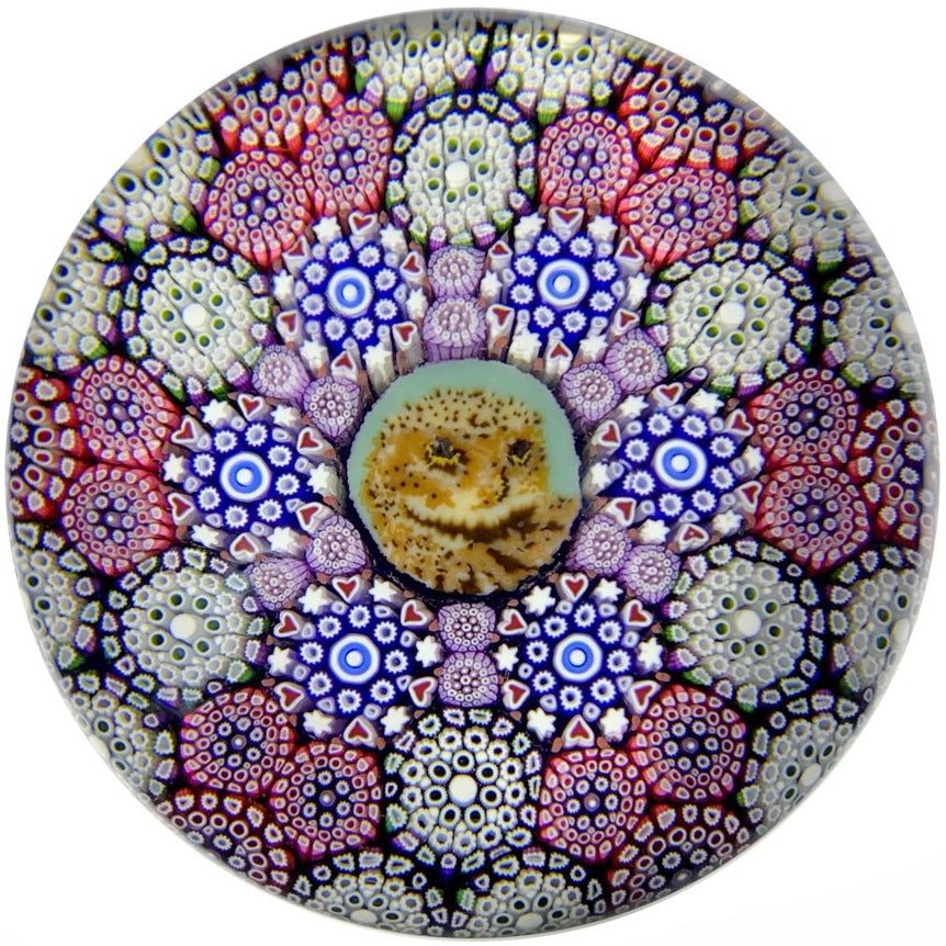 Michael Hunter Twists Studio 2018 Art Glass Paperweight Complex Close Concentric Millefiori & Owl Murrine
