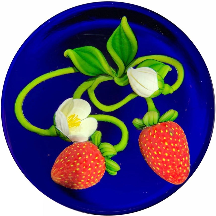Gordon Smith Art Glass Paperweight Lampwork Blooming Strawberries on Transparent Blue Ground