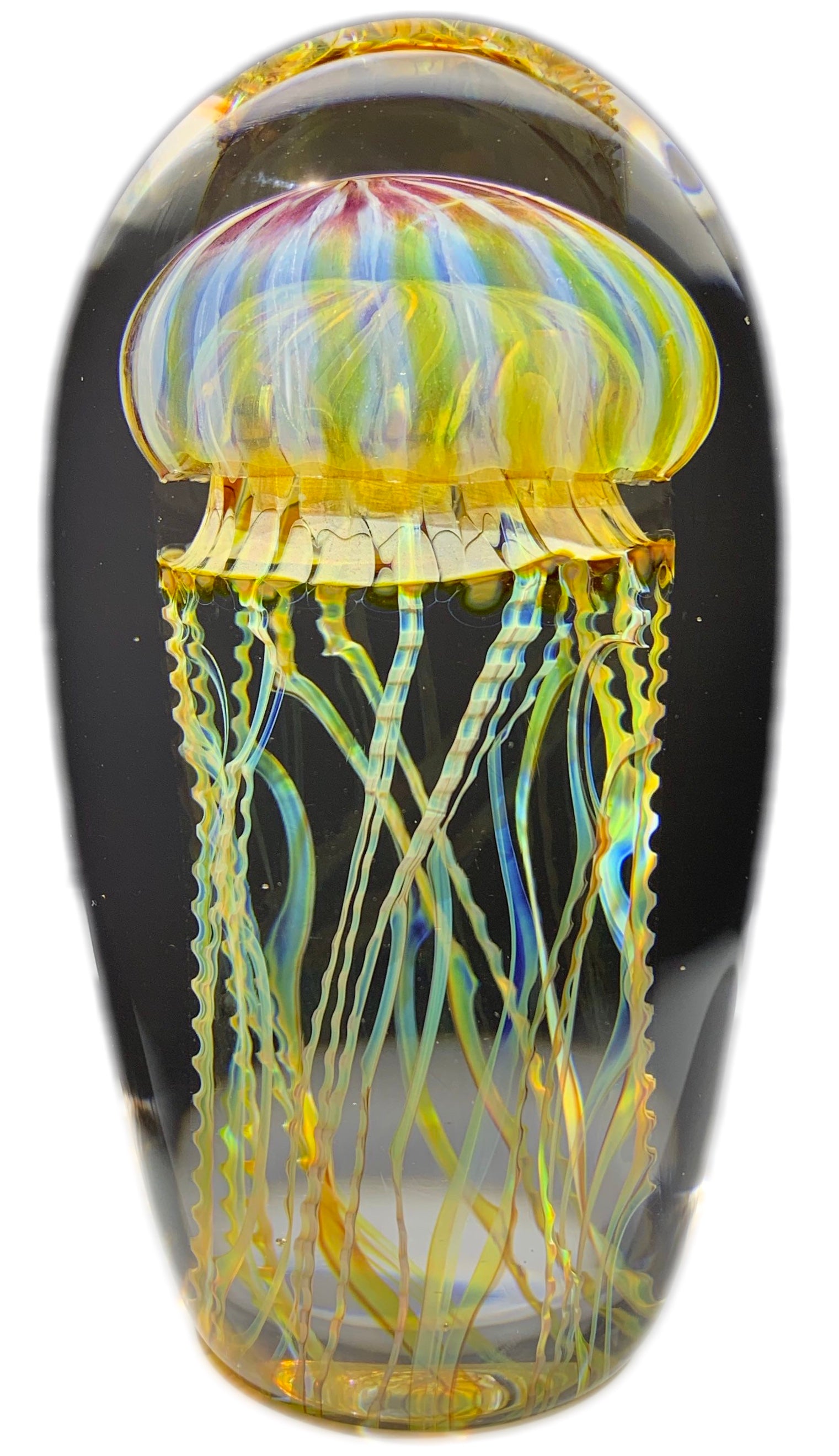 Contemporary Richard Satava Art Glass Paperweight Passion Moon Jellyfish Sculpture (Small)