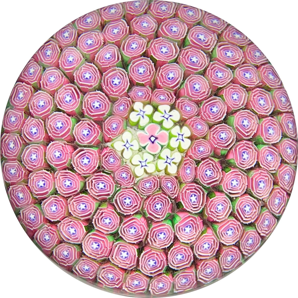 Damon MacNaught 2019 "Clichy Style" Rose Millefiori Carpet Ground Paperweight