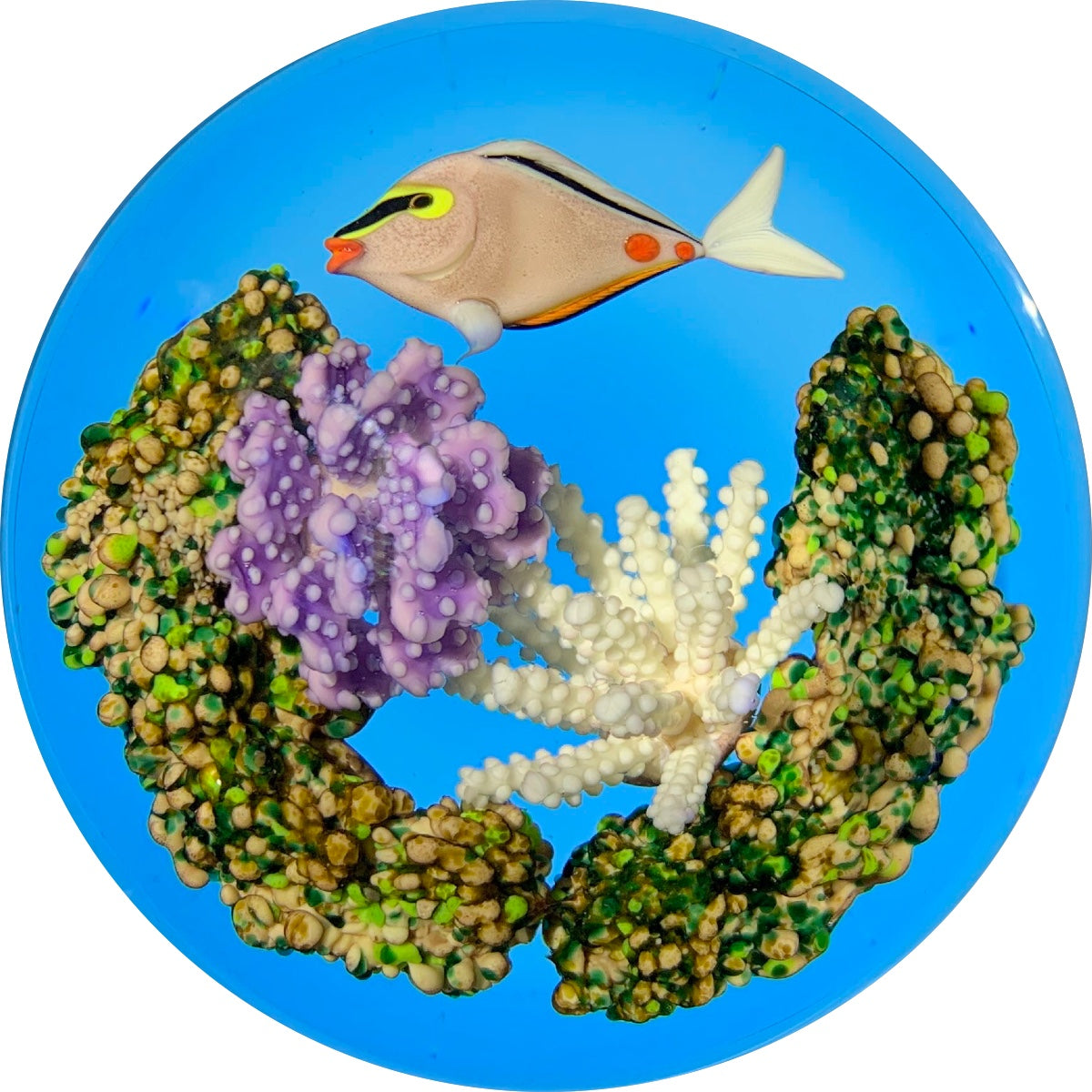 Gordon Smith 1993 Tropical Tang Fish with Colorful Coral & Transparent Blue Ground