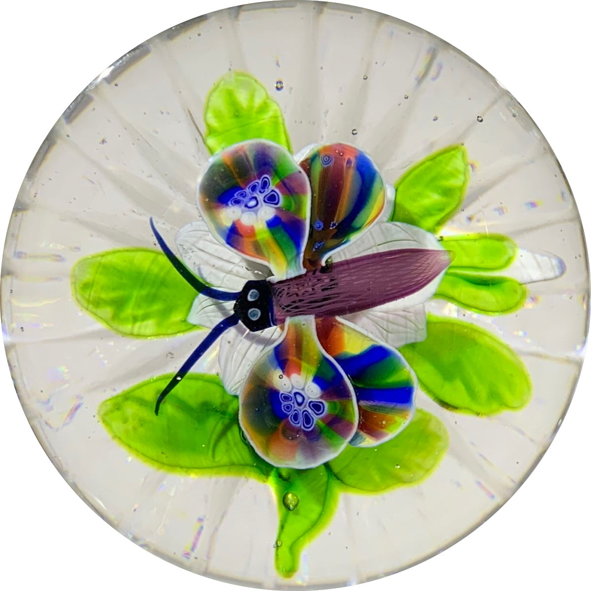 Antique Baccarat Lampwork Butterfly Hovering over White Clematis