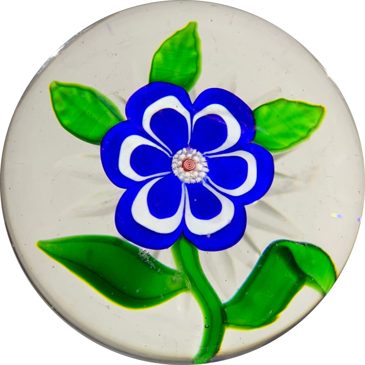 Antique Miniature Baccarat Lampwork Blue & White Primrose