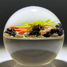 Cathy Richardson 2019 Miniature Flamework Tidepool with Striped Snails and Orange Sea Stars Glass Art Paperweight