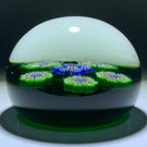Vintage Perthshire Paperweights PP10 Patterned Millefiori On Green