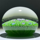 Baccarat Crystal 1975 LE Singe Noir Gridel Black Monkey Murrine With Green Carpet Ground and 17 Silhouette Canes