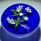 Paul Stankard 1979 Flamework Pansies on Opaque Blue Ground