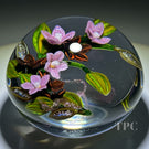 Colin Richardson 2022 Glass Art Paperweight Flamework Pink Dichroic Crescent Flower Bouquet "Blessing of the West Wind's Bride"