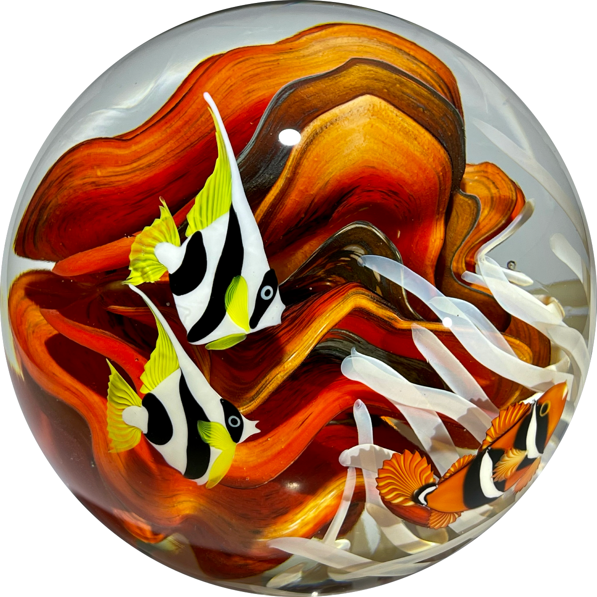 Huge 10lb+ Orient & Flume Torchwork Coral Reef & Tropical Fish Glass Art Sculpture