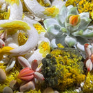 Gordon Smith 2021 Flamework Corn Snake with Succulents and Lichen Covered Rocks