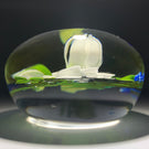 Paul Stankard Experimental 1981 Lampwork Wildflower Bouquet on Clear