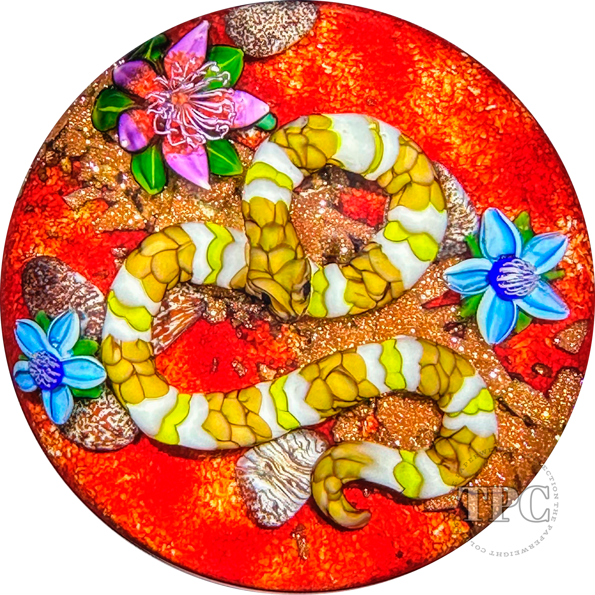 Ken Rosenfeld 2023 Glass Art Paperweight Flamework Banded Yellow/White & Brown Scaled Snake on Red Sand with Pebbles & Perennial Flowers