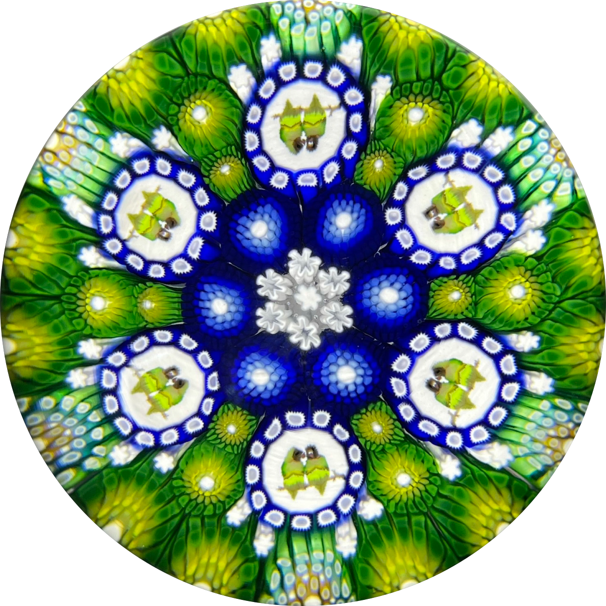 Michael Hunter 2021 Patterned Complex Concentric Millefiori with Lovebird Picture Murrine