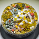 Gordon Smith 2021 Flamework Corn Snake with Succulents and Lichen Covered Rocks