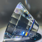 Rick Ayotte 2000 Faceted Glass Art "Hallucination" Paperweight Sculpture Flamwork Blueberry & Daisy Bouquet