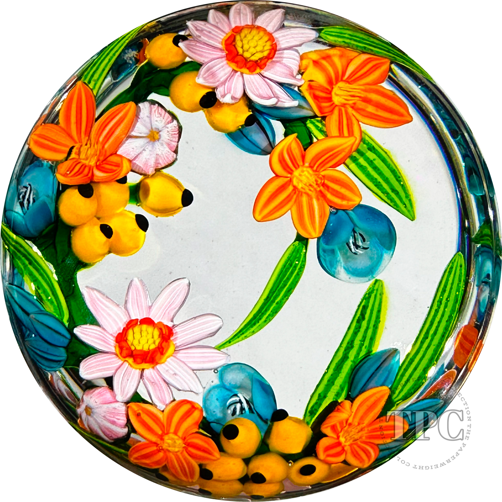 Colin Richardson 2022 Glass Art Paperweight Flamework Floral & Berry Crescent Bouquet "Asters in the House of Orange"