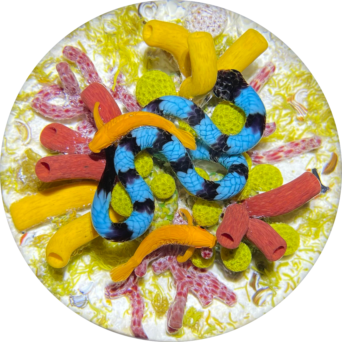 Gordon Smith 2021 Flamework Coral Reef Scene with Krait Sea Snake and Wrasse Fish