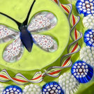 John Deacons Millefiori Butterfly with Torsade on Pistachio Green Ground