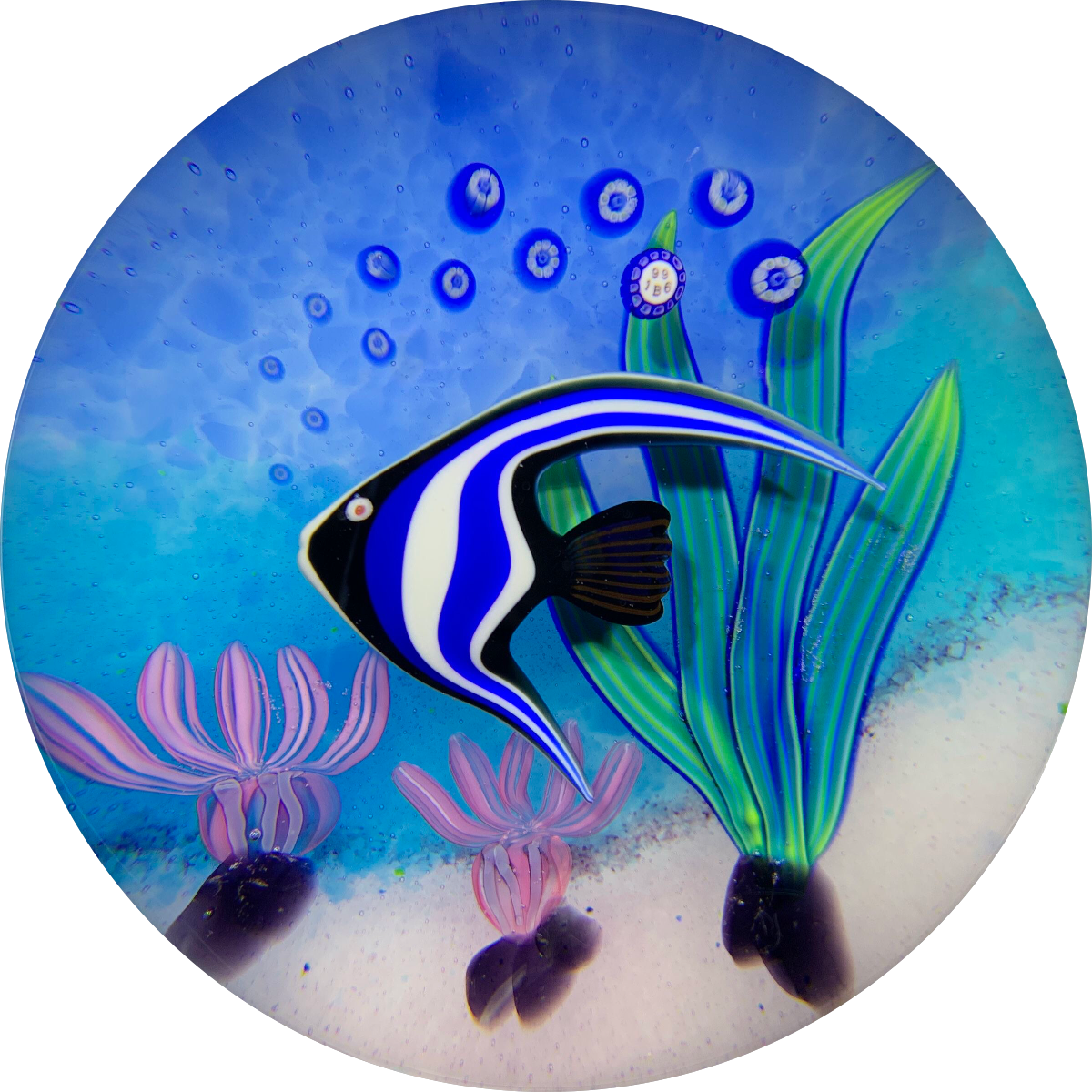 Pakarat Fish Baccarat 1996 Flamework White Lined Emperor Fish LE 100