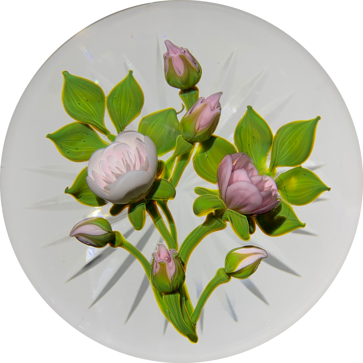 Gordon Smith 2019 Flamework Pink Rose Bouquet Star Cut Base