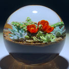 Cathy Richardson 2020 One-Of-A-Kind Miniature Flamework Flowering Cacti & Succulents
