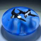 Rick Ayotte 1983 Flamework White Throated Swallows Chasing a Fly With Blue Sky