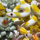 Gordon Smith 2021 Flamework Corn Snake with Succulents and Lichen Covered Rocks