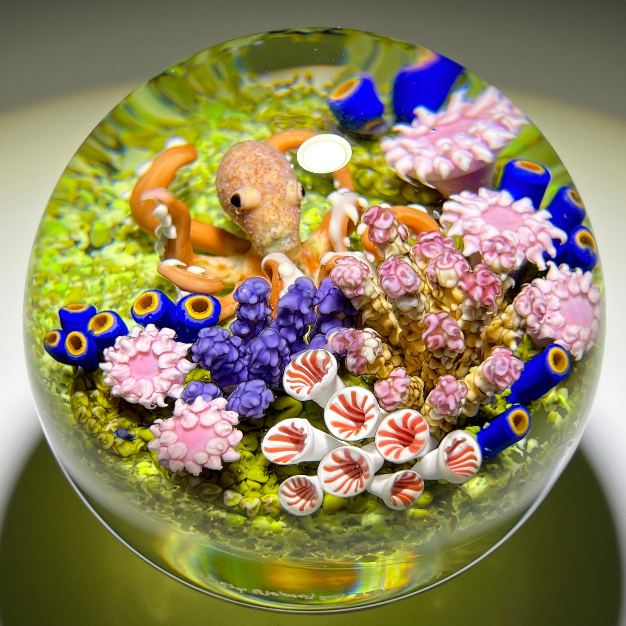 Cathy Richardson 2021 Flamework Glass Art Paperweight Octopus with Cor