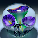 Jeremiah Lotton 2004 Torchwork Purple Calla Lily Trumpet Flowers Glass Paperweight