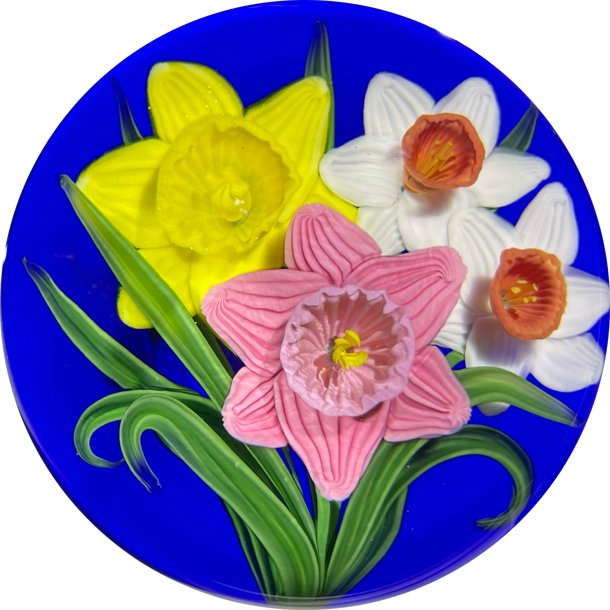 Signed Steven Lundberg 1999 Magnum Torchwork Daffodil Bouquet on Blue