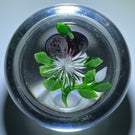 Antique Baccarat Art Glass Paperweight Lampwork Pansy on Clear Ground with Star Cut Base