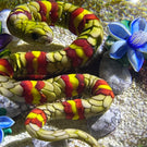 Ken Rosenfeld 2023 Glass Art Paperweight Flamework Yellow & Red Banded Snake on Sand with Pebbles & Perennial Flowers