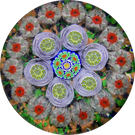 James Hart Complex Concentric Millefiori w/ Roses on Aventurine Ground Glass Art Paperweight