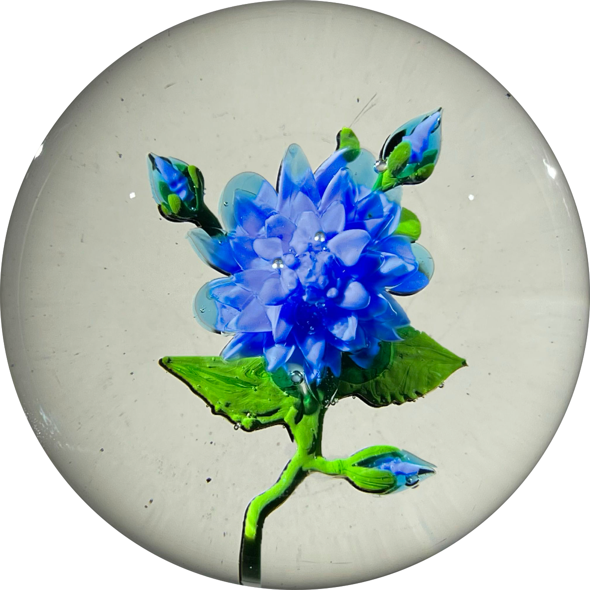 Signed Harold Hacker Flamework Stemmed Blue Dahlia Glass Paperweight