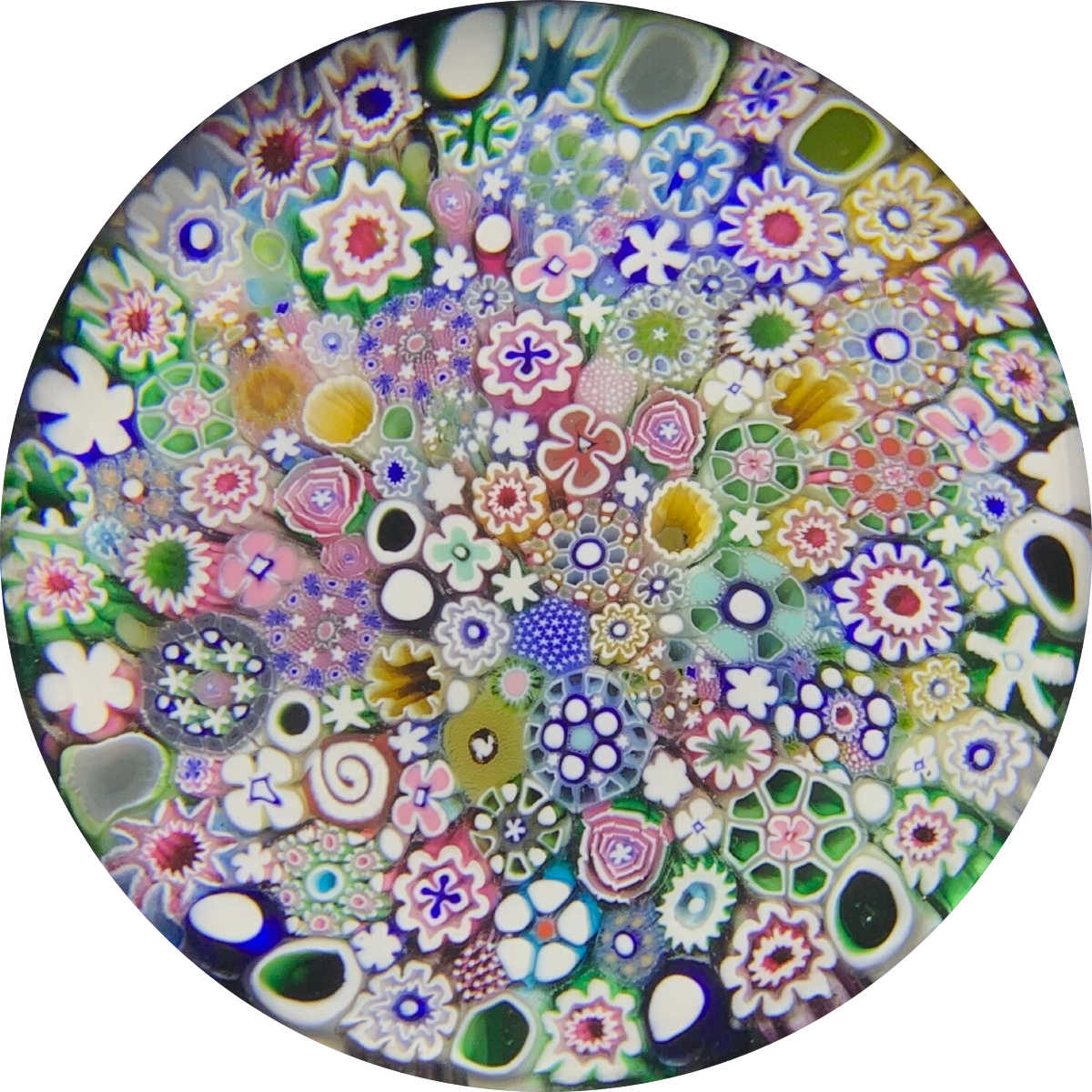 Damon MacNaught 2020 Complex Closepack Millefiori Including including a “Hidden Silhouette” & Rose Canes